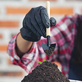 Soil Test
